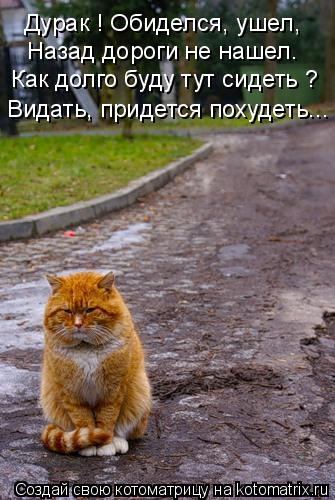 Дурак ! Обиделся, ушел, Назад дороги не нашел. Как долго буду тут сидеть ? Видать, придется похудеть.... Котоматрица: Дурак ! Обиделся, ушел, Назад дороги не нашел. Как долго буду тут сидеть ? Видать, придется похудеть...