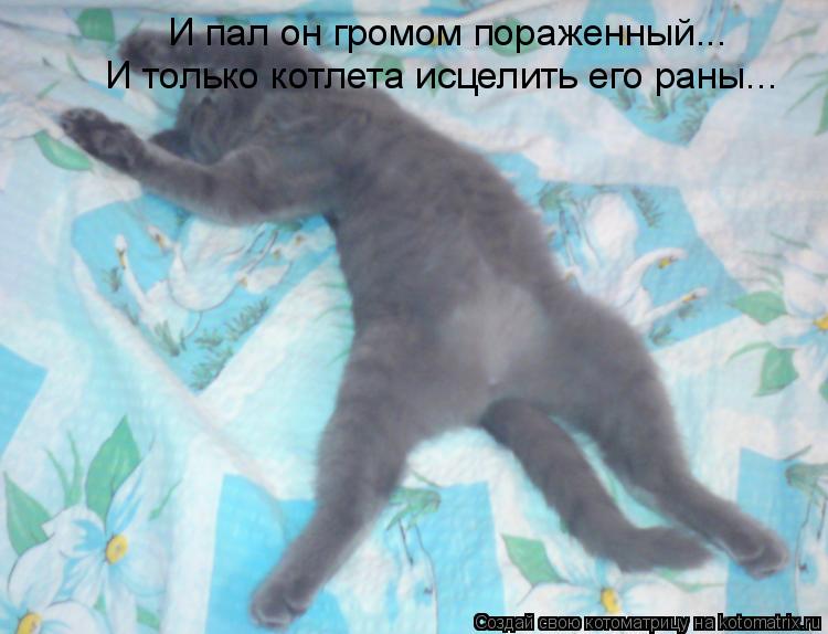 И пал он громом пораженный... И только котлета исцелить его раны...... Котоматрица: И пал он громом пораженный... И только котлета исцелить его раны...