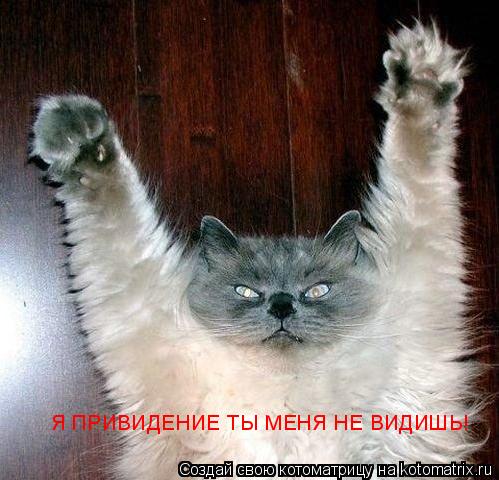 Я ПРИВИДЕНИЕ ТЫ МЕНЯ НЕ ВИДИШЬ!... Котоматрица: Я ПРИВИДЕНИЕ ТЫ МЕНЯ НЕ ВИДИШЬ!