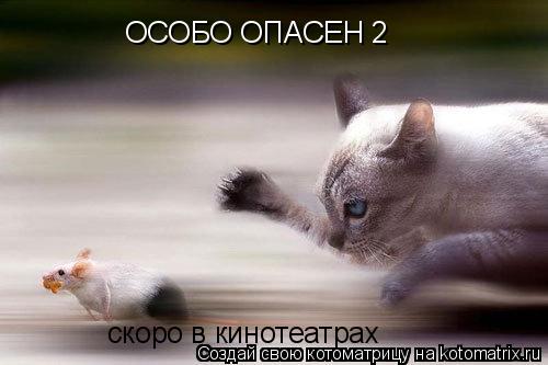 ОСОБО ОПАСЕН 2 скоро в кинотеатрах... Котоматрица: ОСОБО ОПАСЕН 2 скоро в кинотеатрах