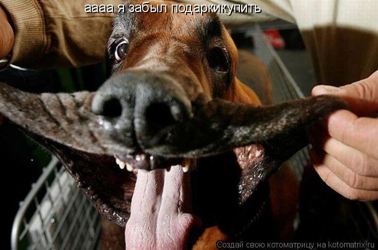 аааа я забыл подаркикупить... Котоматрица: аааа я забыл подаркикупить