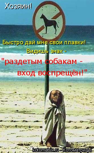Хозяин! Быстро дай мне свои плавки! Видишь знак - вход воспрещён!" "раздетым собакам -... Котоматрица: Хозяин! Быстро дай мне свои плавки! Видишь знак - вход воспрещён!" "раздетым собакам -