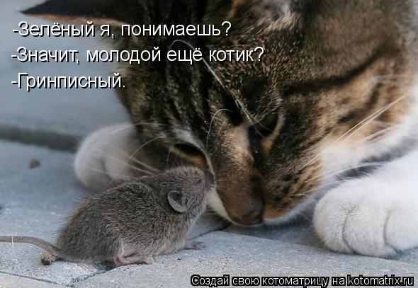 -Зелёный я, понимаешь? -Значит, молодой ещё котик? -Гринписный.... Котоматрица: -Зелёный я, понимаешь? -Значит, молодой ещё котик? -Гринписный.