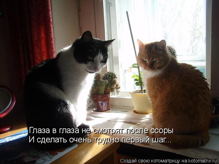 Глаза в глаза не смотрят после ссоры И сделать очень трудно первый шаг...... Котоматрица: Глаза в глаза не смотрят после ссоры И сделать очень трудно первый шаг...