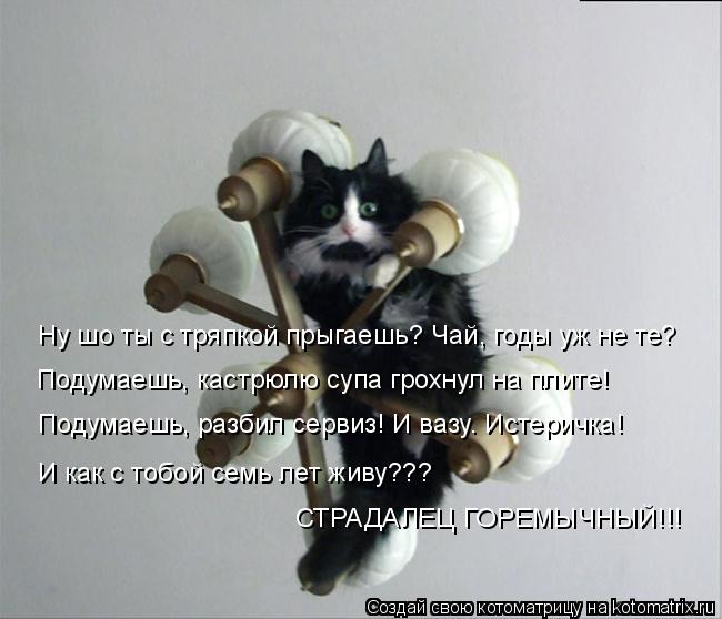 Котоматрица: Ну шо ты с тряпкой прыгаешь? Чай, годы уж не те? Подумаешь, кастрюлю супа грохнул на плите! Подумаешь, разбил сервиз! И вазу. Истеричка! И как с 
