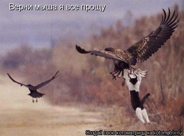 Верни мыша я все прощу... Котоматрица: Верни мыша я все прощу