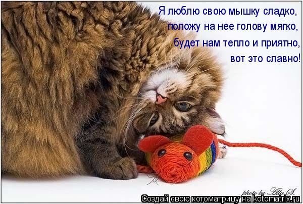 Я люблю свою мышку сладко, положу на нее голову мягко, будет нам тепло и приятно, вот это славно!... Котоматрица: Я люблю свою мышку сладко, положу на нее голову мягко, будет нам тепло и приятно, вот это славно!