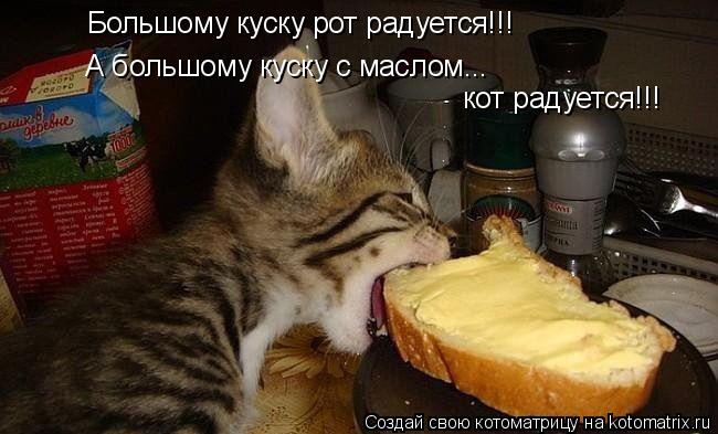 Котоматрица: Большому куску рот радуется!!! А большому куску с маслом... кот радуется!!!