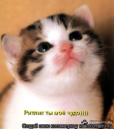 Ритлик ты моё чудо))))... Котоматрица: Ритлик ты моё чудо))))