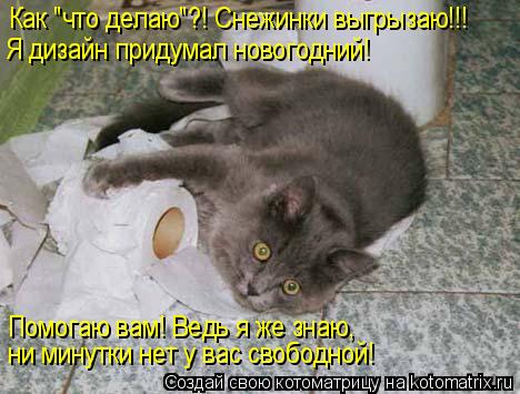 Котоматрица: Как "что делаю"?! Снежинки выгрызаю!!!  Я дизайн придумал новогодний! Помогаю вам! Ведь я же знаю, ни минутки нет у вас свободной!