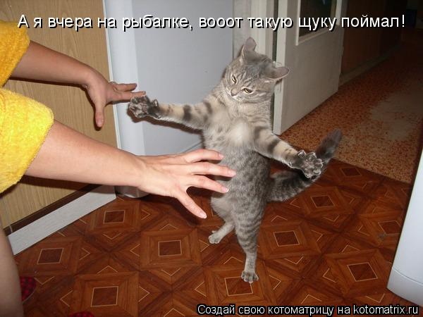 Котоматрица: А я вчера на рыбалке, вооот такую щуку поймал!