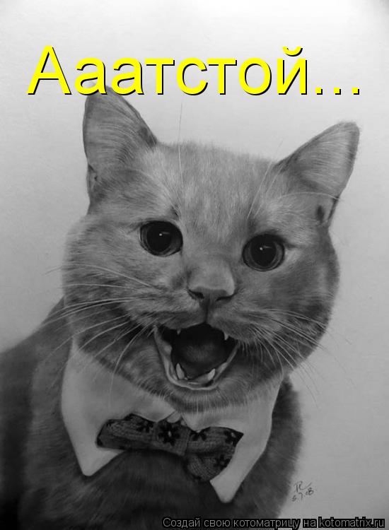 Котоматрица: Ааатстой...