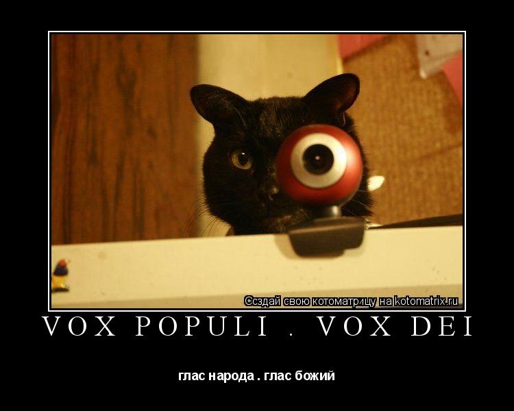 vox populi — vox dei глас народа — глас божий... Котоматрица: vox populi — vox dei глас народа — глас божий