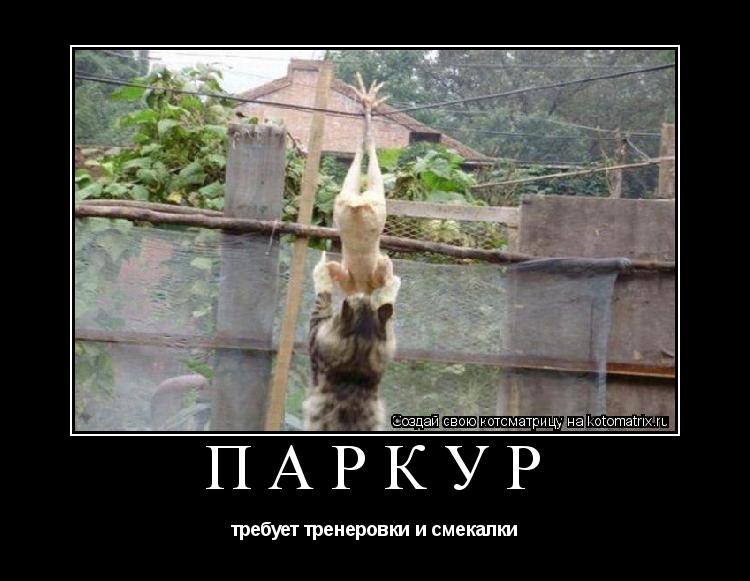 ПАРКУР требует тренеровки и смекалки... Котоматрица: ПАРКУР требует тренеровки и смекалки