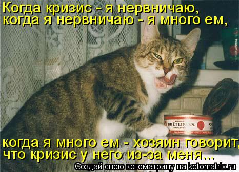 Когда кризис - я нервничаю, когда я нервничаю - я много ем, когда я много ем - хозяин говорит, что кр... Котоматрица: Когда кризис - я нервничаю, когда я нервничаю - я много ем, когда я много ем - хозяин говорит, что кризис у него из-за меня...