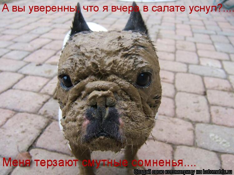 А вы уверенны, что я вчера в салате уснул?.... Меня терзают смутные сомненья.... Меня терзают смутные... Котоматрица: А вы уверенны, что я вчера в салате уснул?.... Меня терзают смутные сомненья.... Меня терзают смутные сомненья....