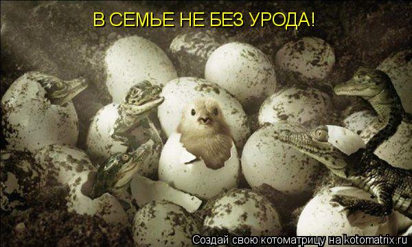 Котоматрица: В СЕМЬЕ НЕ БЕЗ УРОДА!
