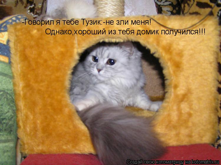 Котоматрица: -Говорил я тебе Тузик:-не зли меня! Однако,хороший из тебя домик получился!!!