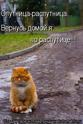 Котоматрица: Спутница-распутница... Вернусь домой я  по распутице!!!