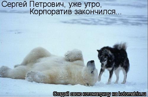 Котоматрица: Сергей Петрович, уже утро, Сергей Петрович, уже утро, Корпоратив закончился...