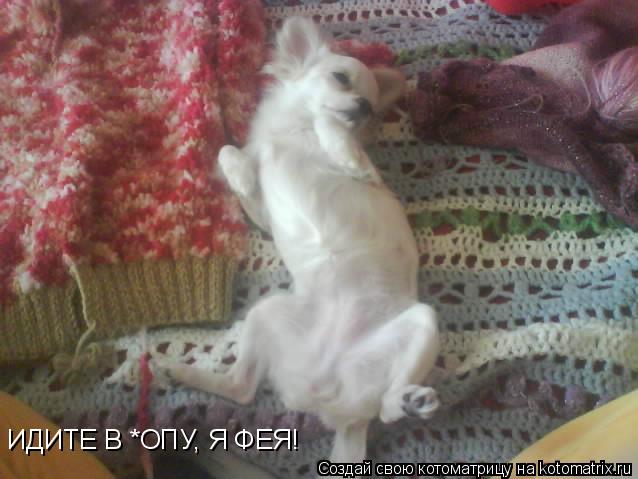 Котоматрица: ИДИТЕ В *ОПУ, Я ИДИТЕ В *ОПУ, Я ФЕЯ!