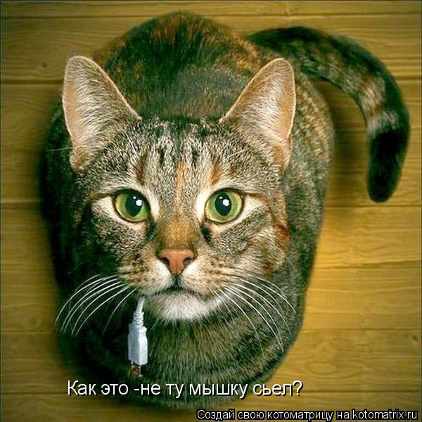 Котоматрица: Как это -не ту мышку сьел?