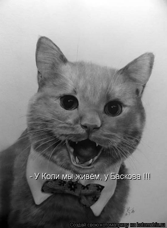 Котоматрица: - У Коли мы живём, у Баскова !!!
