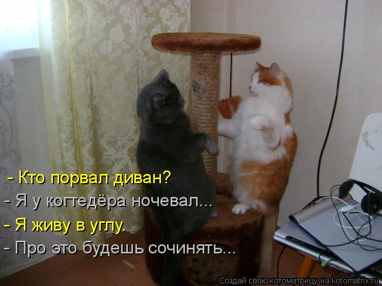 Котоматрица: - Кто порвал диван? - Я у когтедёра ночевал... - Я живу в углу. - Про это будешь сочинять...