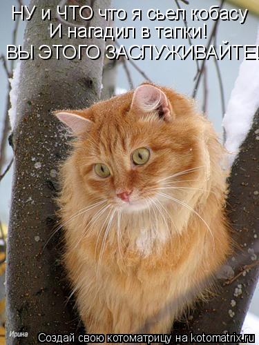 Котоматрица: НУ и ЧТО что я сьел кобасу И нагадил в тапки! ВЫ ЭТОГО ЗАСЛУЖИВАЙТЕ!