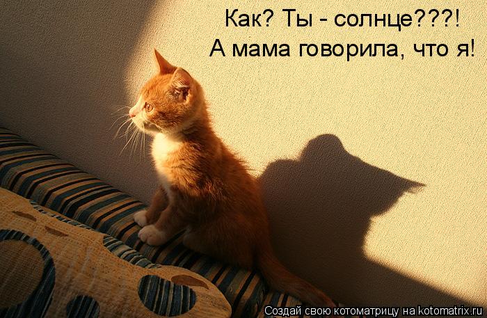 Как? Ты - солнце???! А мама говорила, что я!... Котоматрица: Как? Ты - солнце???! А мама говорила, что я!