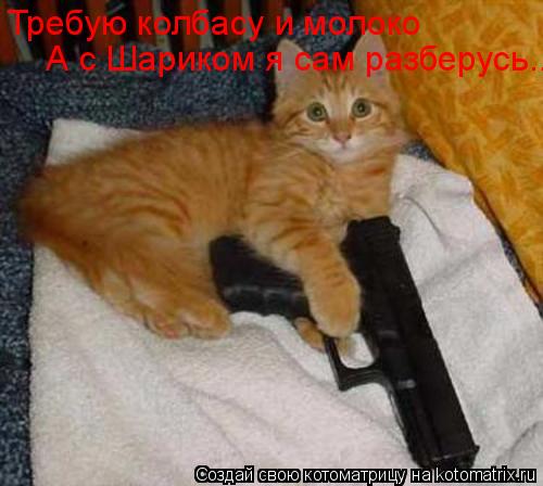 Котоматрица: Требую колбасу и молоко  А с Шариком я сам разберусь...