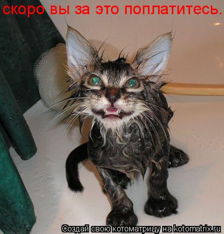 Котоматрица: скоро вы за это поплатитесь..