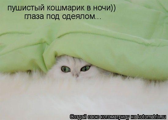 Котоматрица: пушистый кошмарик в ночи)) глаза под одеялом...