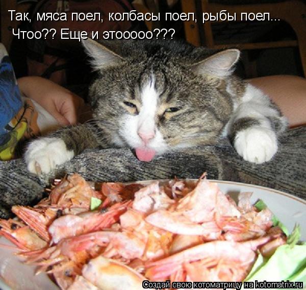 Котоматрица: Так, мяса поел, колбасы поел, рыбы поел... Чтоо?? Еще и этооооо???