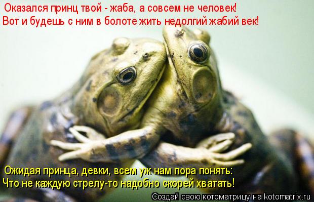 Котоматрица: Оказался принц твой - жаба, а совсем не человек! Вот и будешь с ним в болоте жить недолгий жабий век! Ожидая принца, девки, всем уж нам пора пон