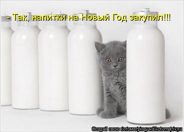 Котоматрица: - Так, напитки на Новый Год закупил!!!