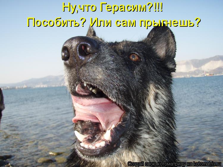 Ну,что Герасим?!!! Пособить? Или сам прыгнешь?... Котоматрица: Ну,что Герасим?!!! Пособить? Или сам прыгнешь?