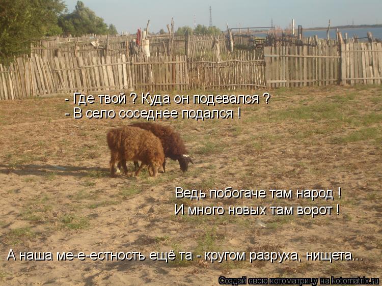 Котоматрица: - Где твой ? Куда он подевался ? - В село соседнее подался ! Ведь побогаче там народ ! И много новых там ворот ! А наша ме-е-естность ещё та - круго