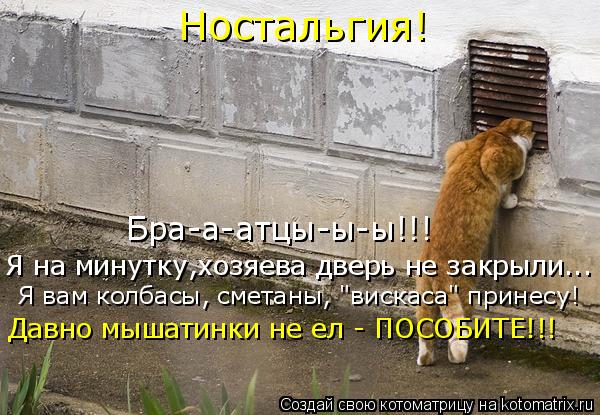 Котоматрица: Ностальгия! Бра-а-атцы-ы-ы!!! Я на минутку,хозяева дверь не закрыли... Я вам колбасы, сметаны, "вискаса" принесу! Давно мышатинки не ел - ПОСОБИТЕ