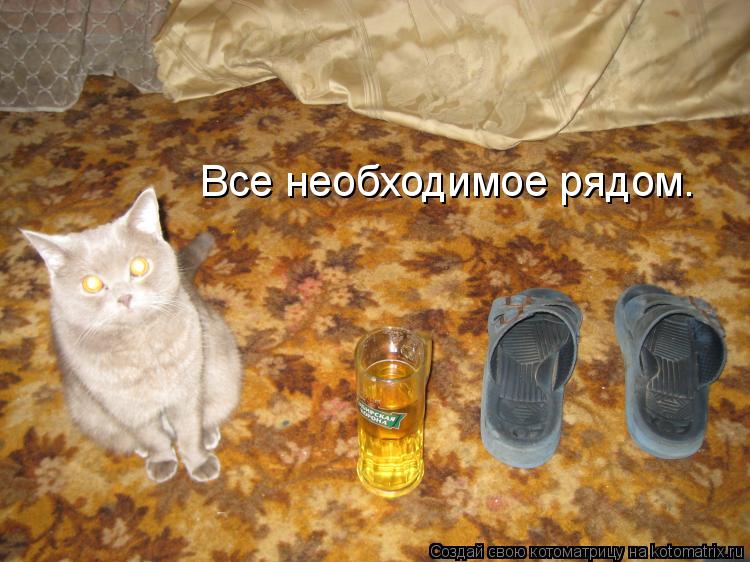 Все необходимое рядом.... Котоматрица: Все необходимое рядом.