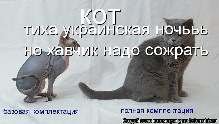 тиха украинская ночььь но хавчик надо сожрать... Котоматрица: тиха украинская ночььь но хавчик надо сожрать