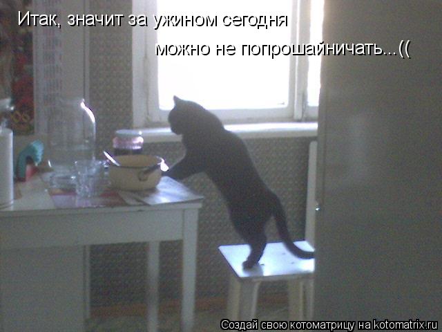 Итак, значит за ужином сегодня можно не попрошайничать...((... Котоматрица: Итак, значит за ужином сегодня можно не попрошайничать...((