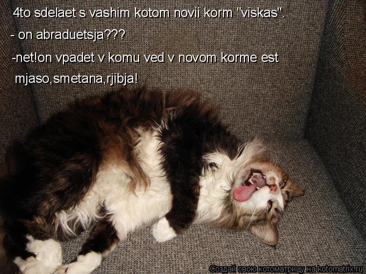4to sdelaet s vashim kotom novii korm "viskas". - on abraduetsja??? -net!on vpadet v komu ved v novom... Котоматрица: 4to sdelaet s vashim kotom novii korm "viskas". - on abraduetsja??? -net!on vpadet v komu ved v novom korme est mjaso,smetana,rjibja!