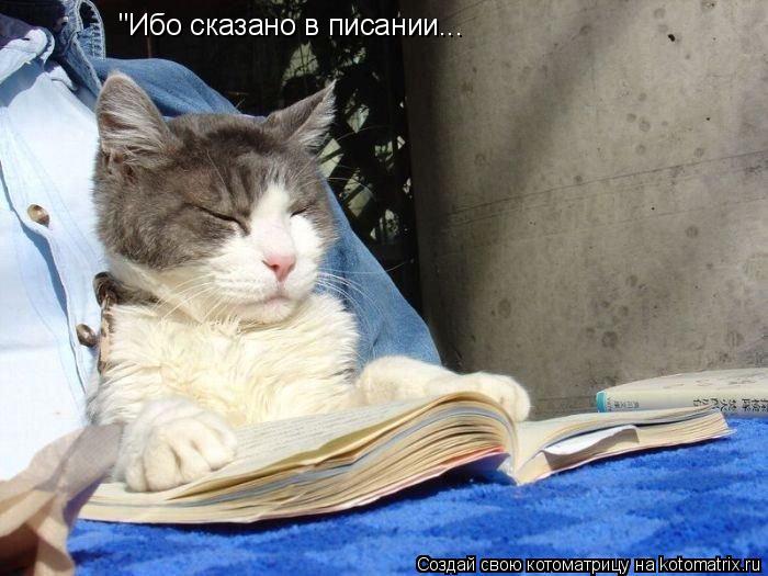 Котоматрица: "Ибо сказано в писании...