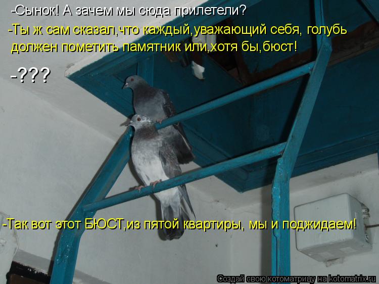 Котоматрица: -Сынок! А зачем мы сюда прилетели? -Ты ж сам сказал,что каждый,уважающий себя, голубь должен пометить памятник или,хотя бы,бюст! -??? -Так вот эт