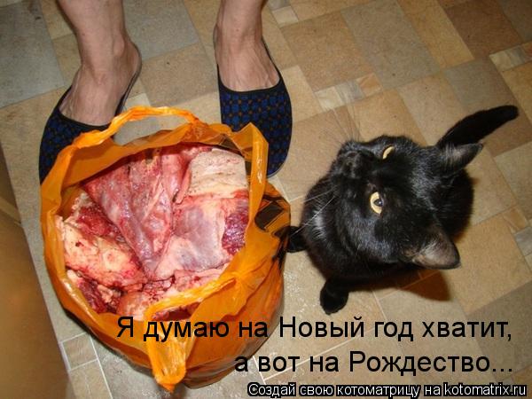 Котоматрица: Я думаю на Новый год хватит, а вот на Рождество...