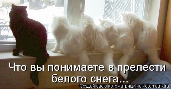 Котоматрица: Что вы понимаете в прелести  белого снега...