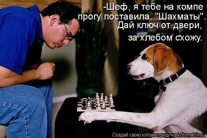 -Шеф, я тебе на компе прогу поставила. "Шахматы". Дай ключ от двери, за хлебом схожу.... Котоматрица: -Шеф, я тебе на компе прогу поставила. "Шахматы". Дай ключ от двери, за хлебом схожу.