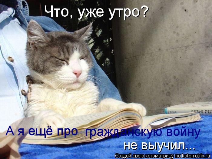 А я ещё про гражданскую войну не выучил... Что, уже утро?... Котоматрица: А я ещё про гражданскую войну не выучил... Что, уже утро?