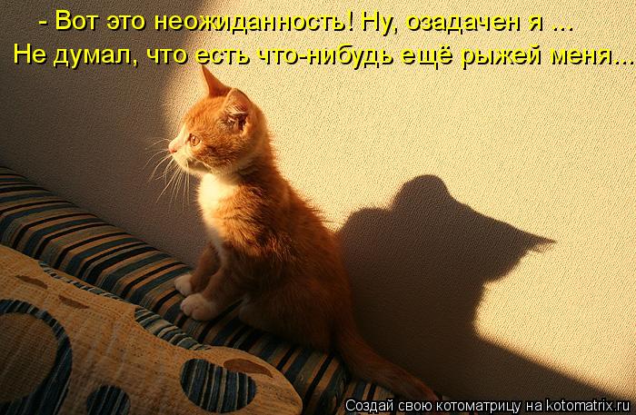 Котоматрица: - Вот это неожиданность! Ну, озадачен я ... Не думал, что есть что-нибудь ещё рыжей меня...